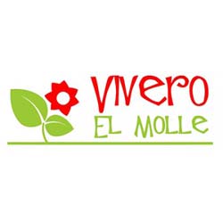 Vivero